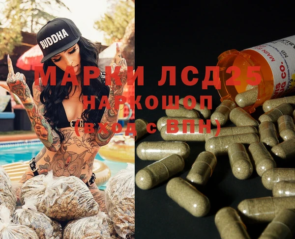 PSILOCYBIN Абдулино