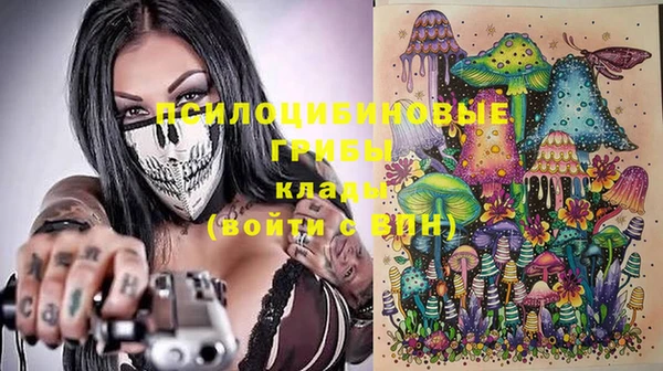 Альфа ПВП Зеленокумск