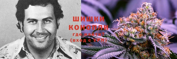 PSILOCYBIN Алексин