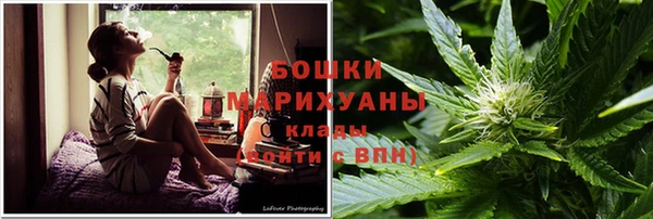 PSILOCYBIN Алексин